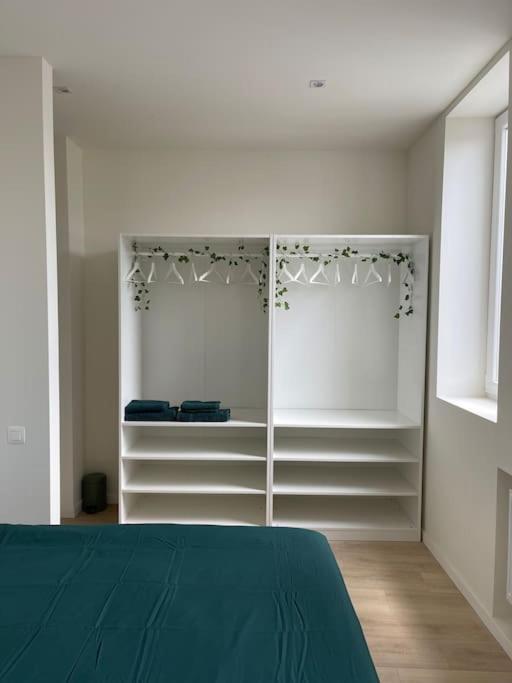 Schitterend Sint - Jacobs Loft In Antwerpen Apartment Luaran gambar